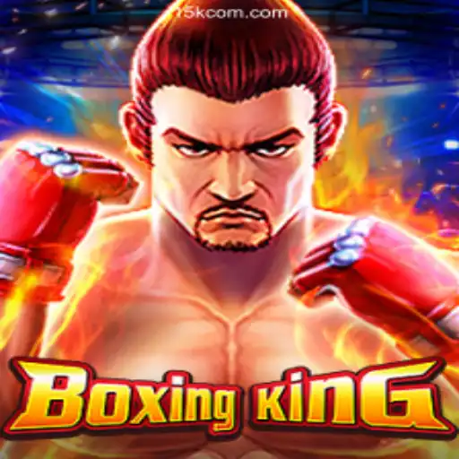 Exploring the Thrills of BoxingKing